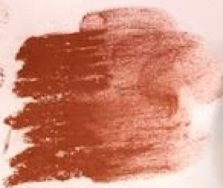 Νο. 6 - ξηρό παστέλ l'ecu Sennelier Red brown